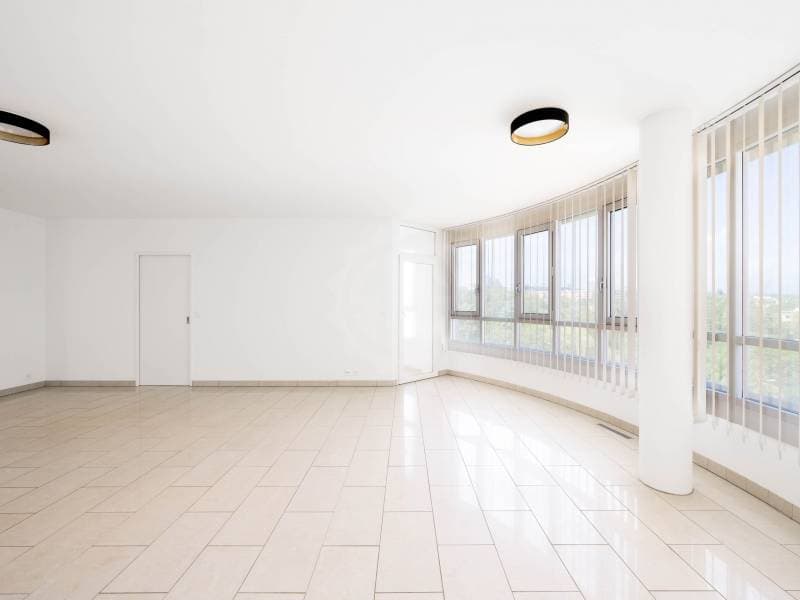 Magnifique appartement - Genève (4)