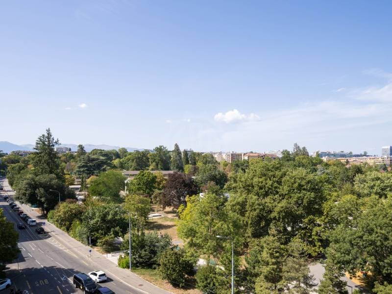 Magnifique appartement - Genève (11)