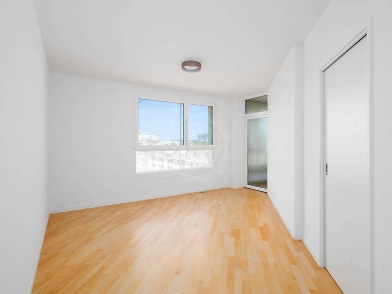 Magnifique appartement - Genève (6)