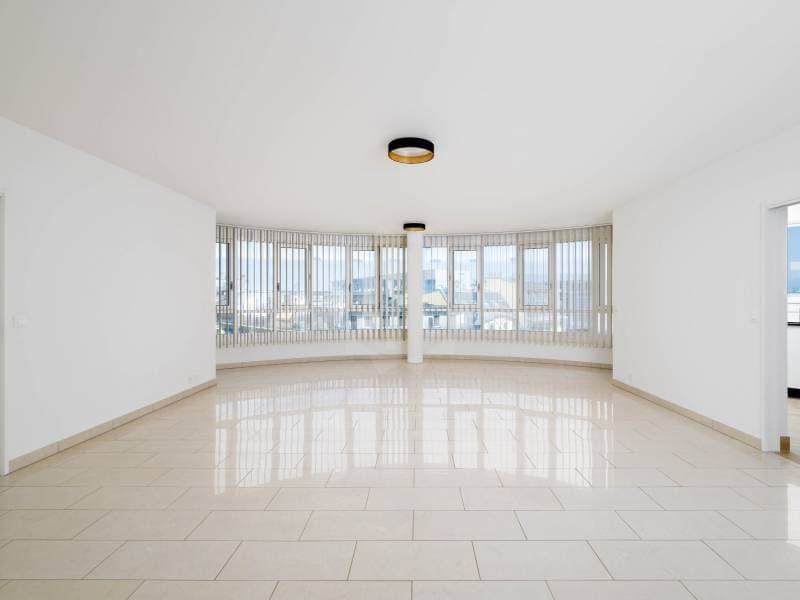 Magnifique appartement - Genève (3)