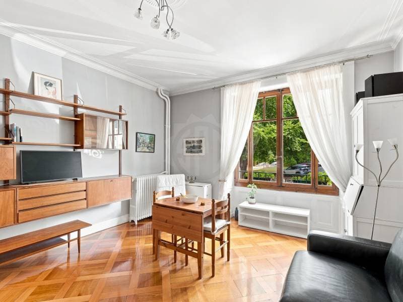 Chaleureux appartement - Genève (5)