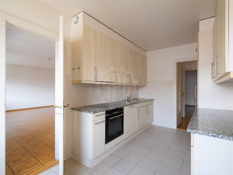 Charmant appartement - Genève (4)
