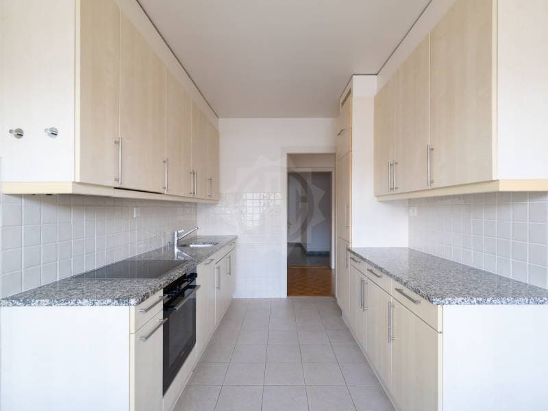 Charmant appartement - Genève (3)