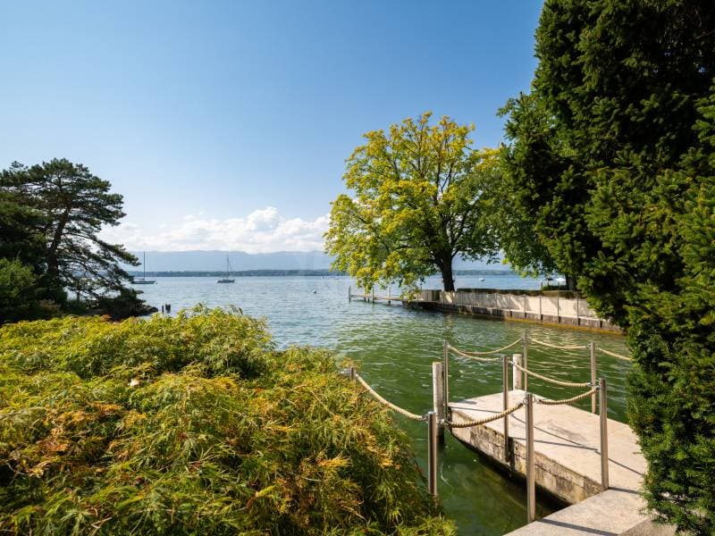 Villa epoustouflante - Vésenaz (6)