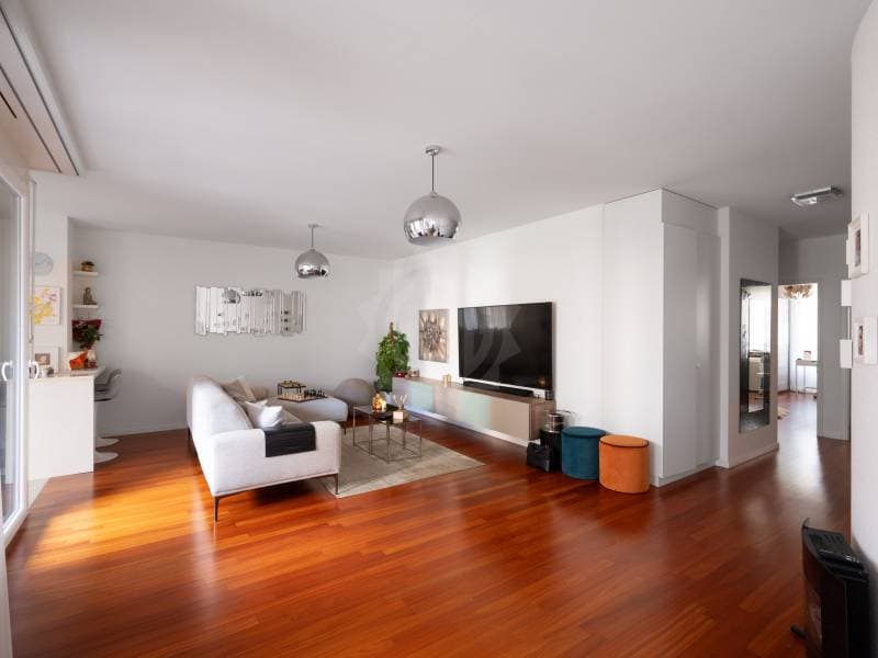 Magnifique appartement - Chêne-Bourg (5)