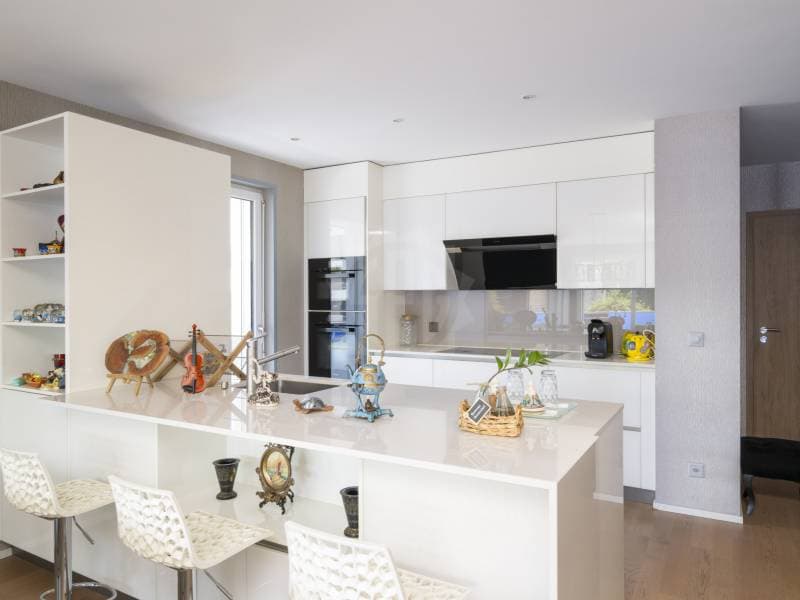 Magnifique appartement - Cointrin (1)