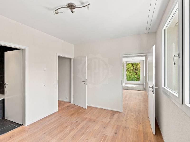 Appartement agréable - Chêne-Bourg (7)
