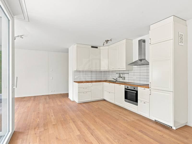 Appartement agréable - Chêne-Bourg (3)