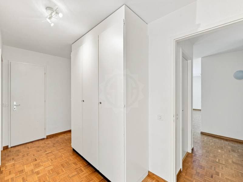 Charmant appartement - Corsier GE (5)