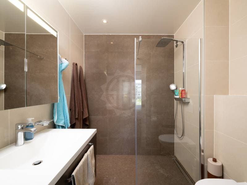 Appartement lumineux - La Plaine (12)