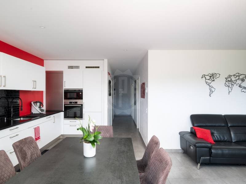 Appartement lumineux - La Plaine (4)