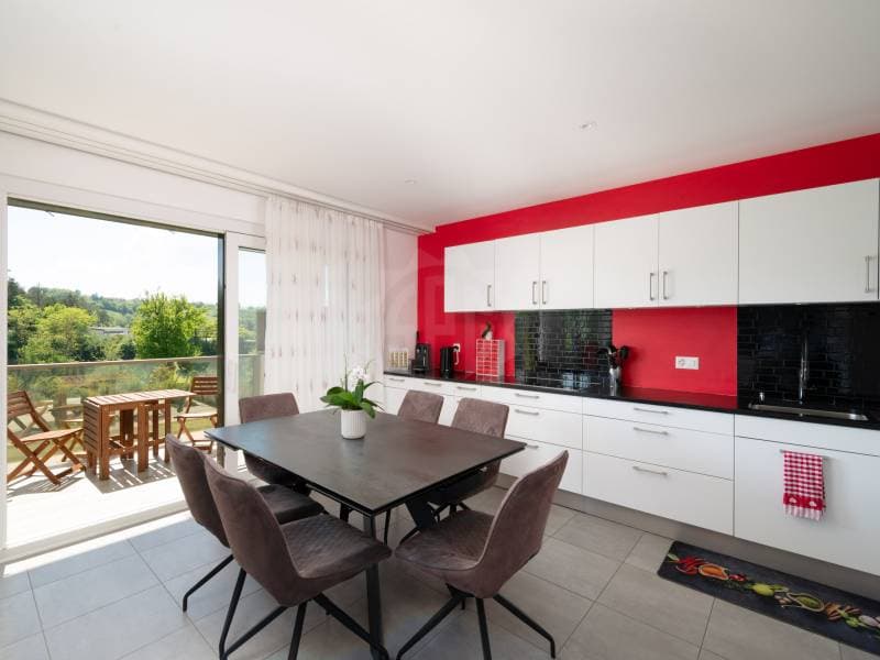 Appartement lumineux - La Plaine (5)