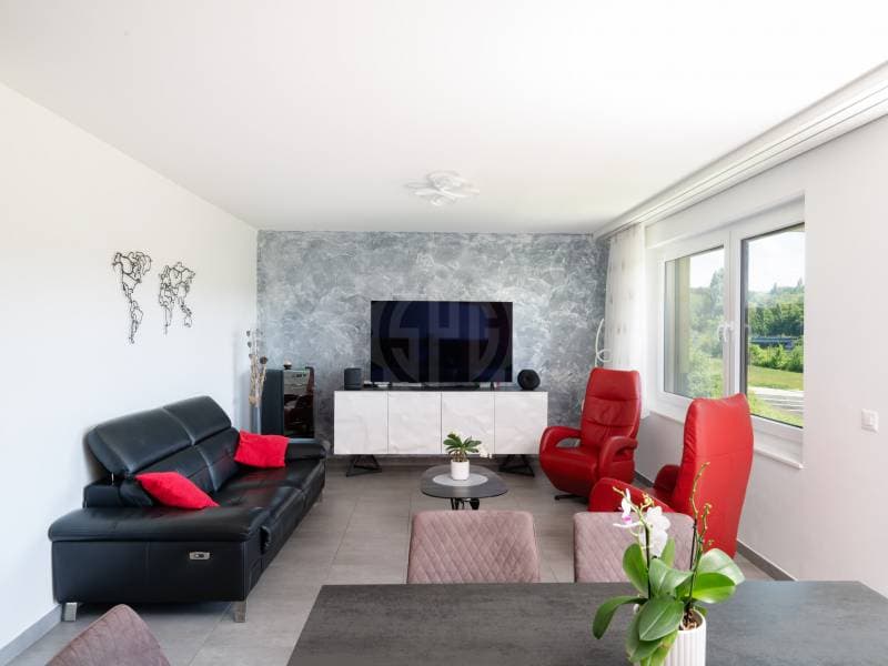 Appartement lumineux - La Plaine (8)