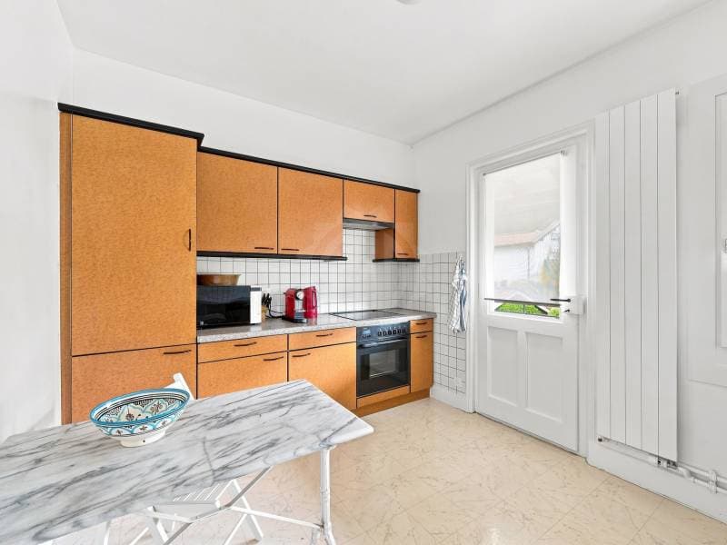 Charmant appartement - Vésenaz (5)