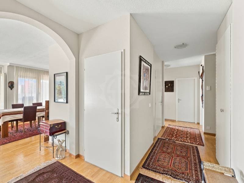 Magnifique appartement - Le Grand-Saconnex (1)