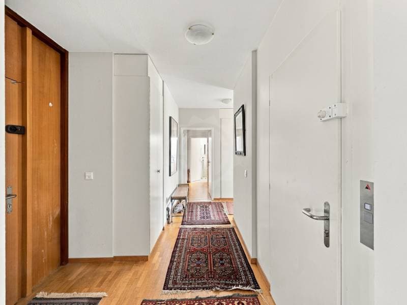 Magnifique appartement - Le Grand-Saconnex (2)
