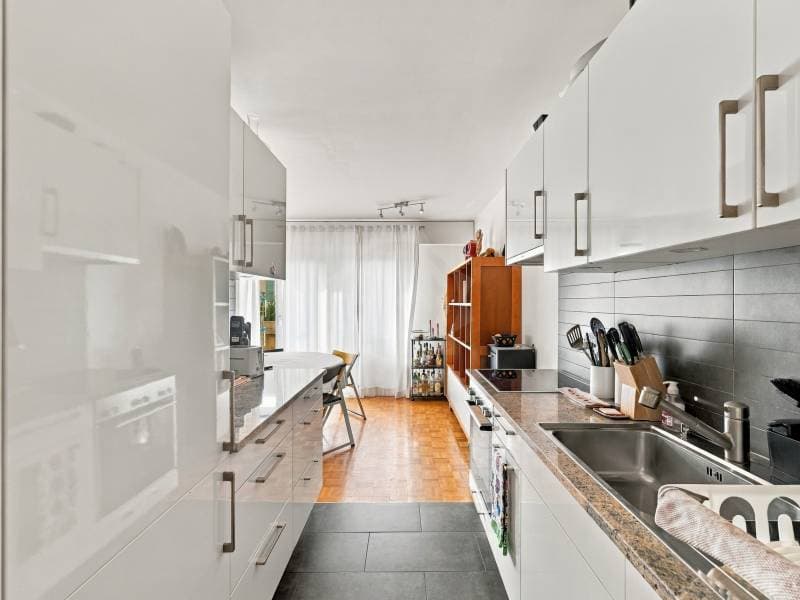 Charmant appartement - Corsier GE (2)