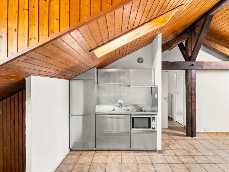 Appartement agréable - Genève (2)