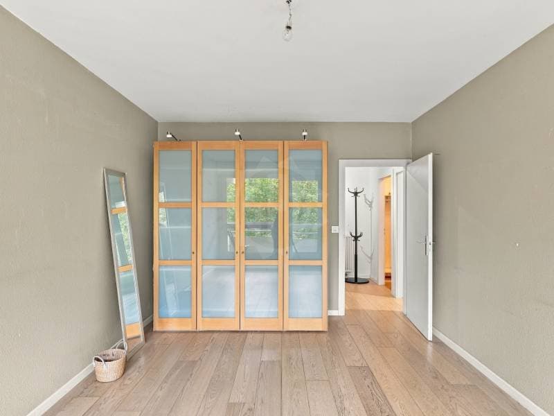 Appartement spacieux - Genève (4)