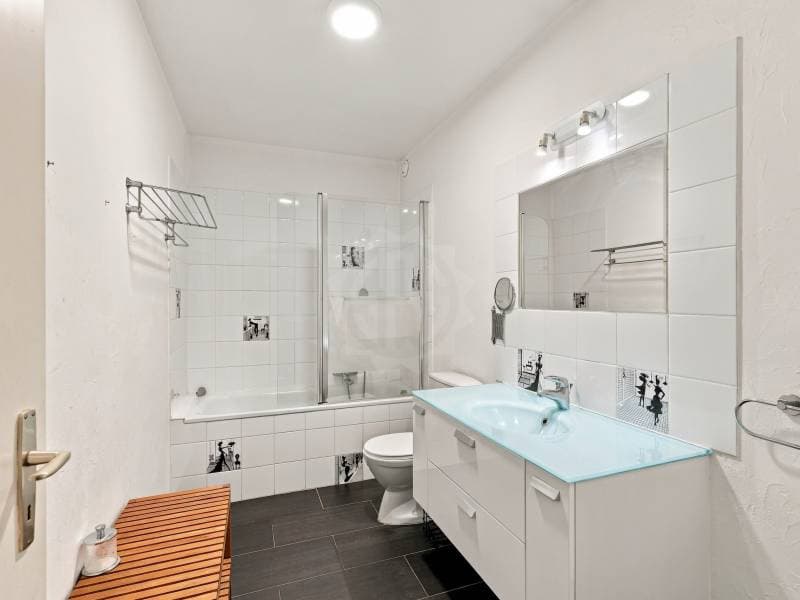Appartement spacieux - Genève (6)