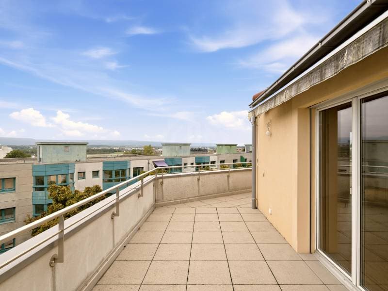 Magnifique appartement - Le Grand-Saconnex (12)
