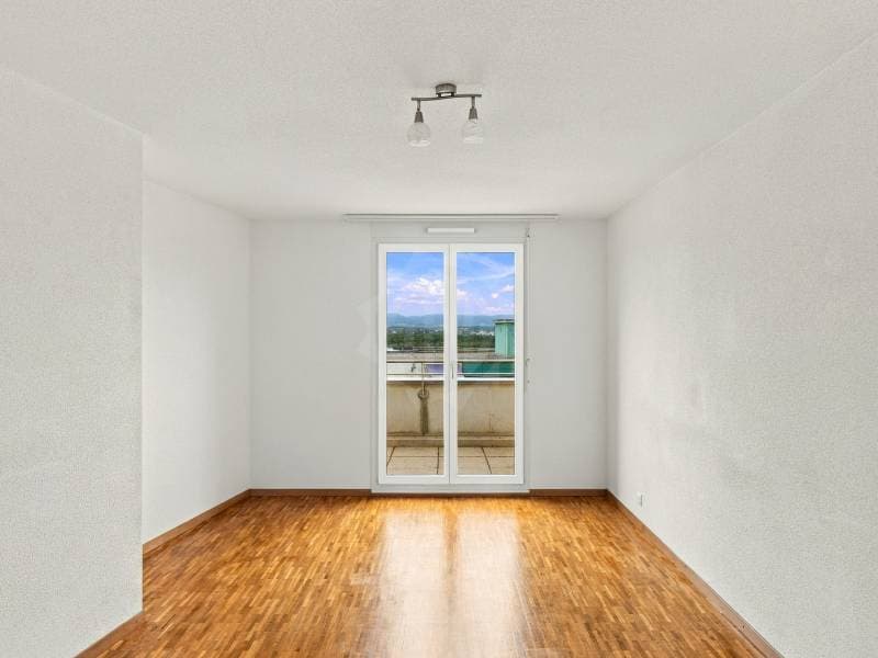 Magnifique appartement - Le Grand-Saconnex (6)