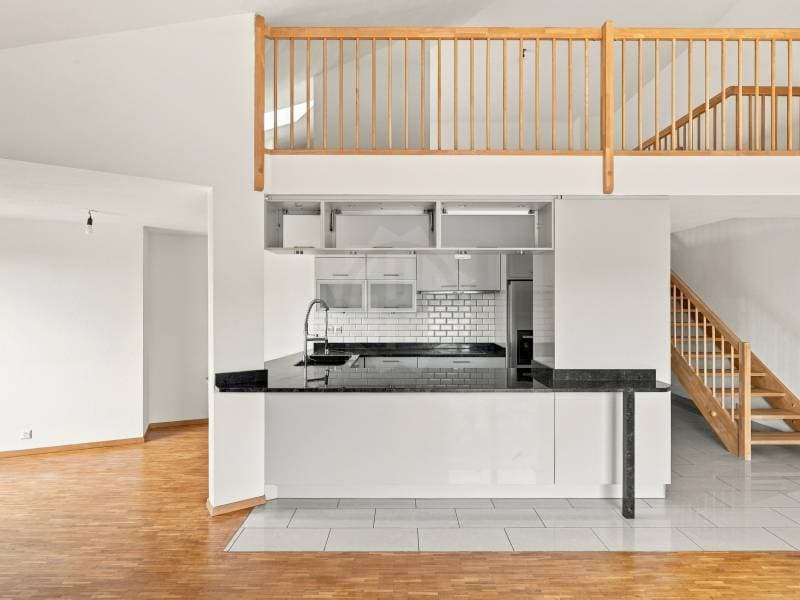 Magnifique appartement - Le Grand-Saconnex (4)