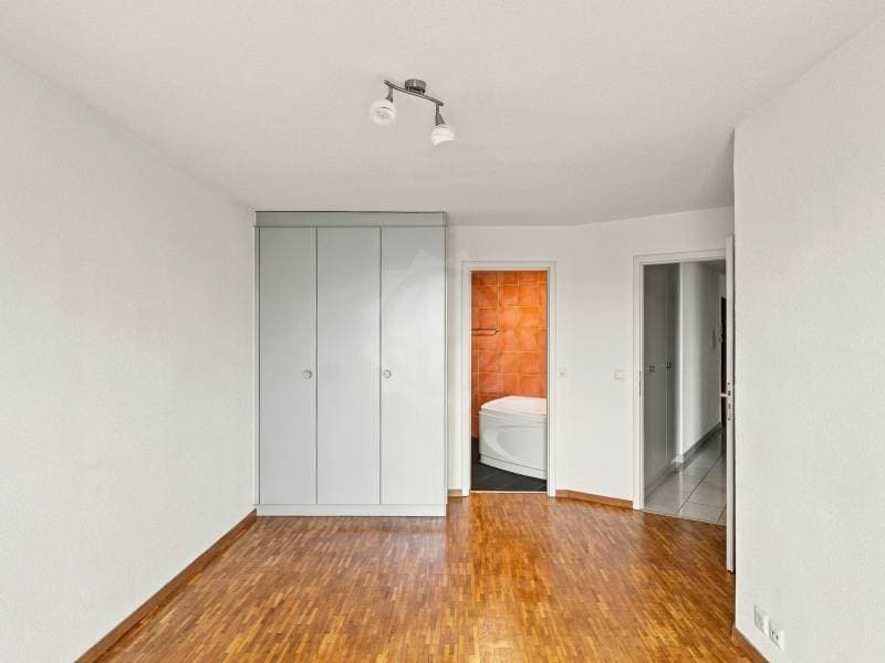 Magnifique appartement - Le Grand-Saconnex (8)