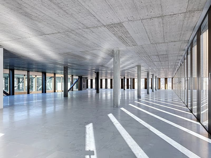 Surface exceptionnelle de 1'127 m² au 7e étage - Vue panoramique à 360 (3)