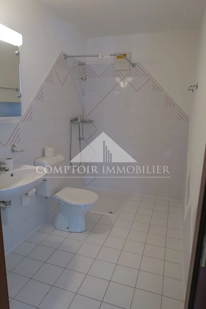 Studio récemment rénové à Chalais (5)