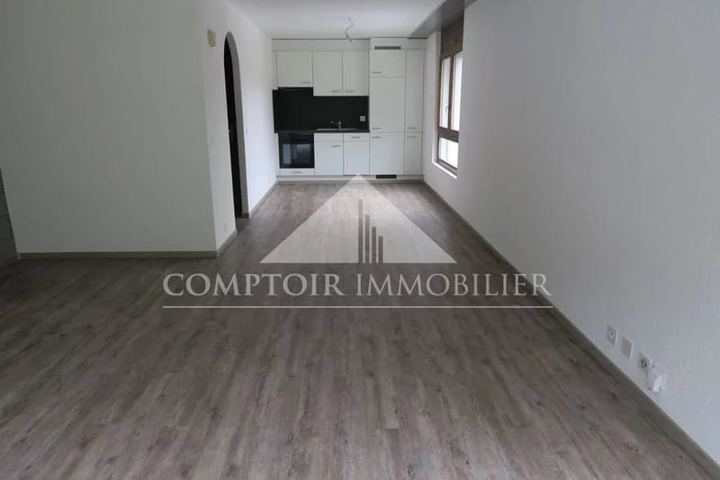 Studio récemment rénové à Chalais (3)