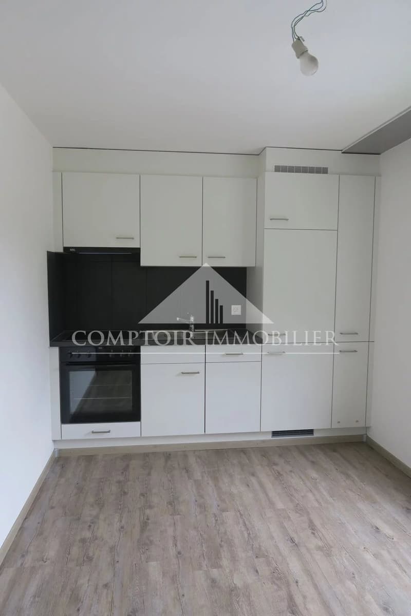 Studio récemment rénové à Chalais (4)