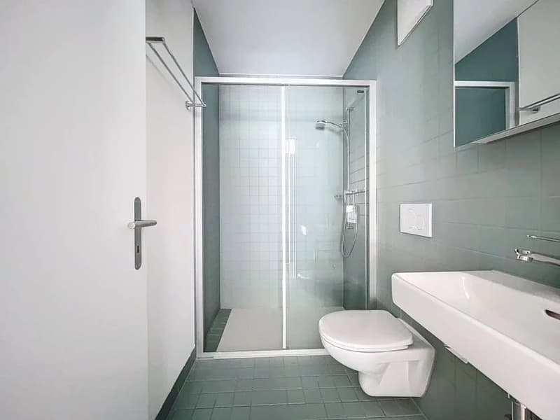 Neuwertige 2½-Zimmer-Wohnung mit 55 m² (5)