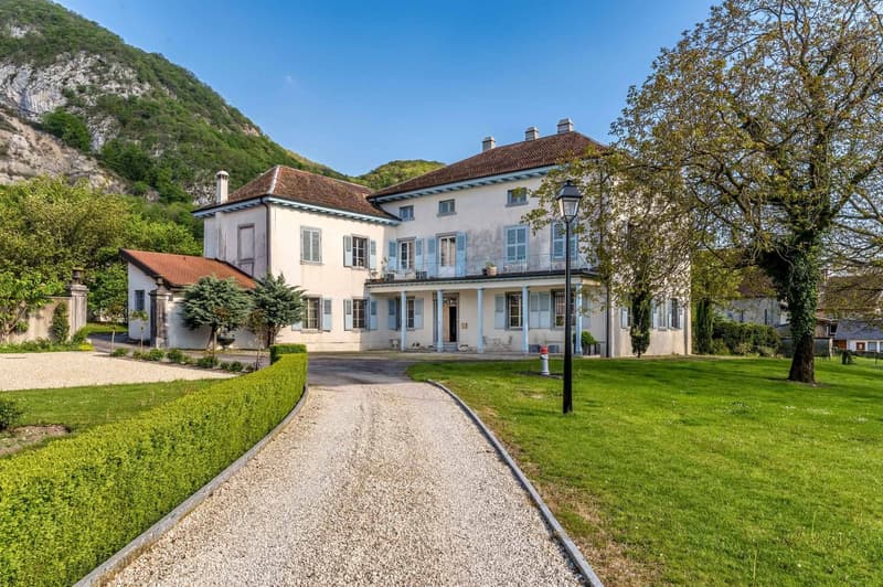 Superbe appartement de 11.5 pièces à vendre dans le château de Roche/VD (1)