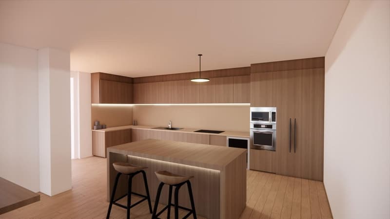 Superbe penthouse avec immense terrasse et vue panoramique sur le lac (11)