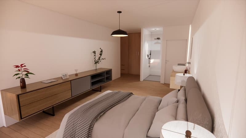 Superbe penthouse avec immense terrasse et vue panoramique sur le lac (9)