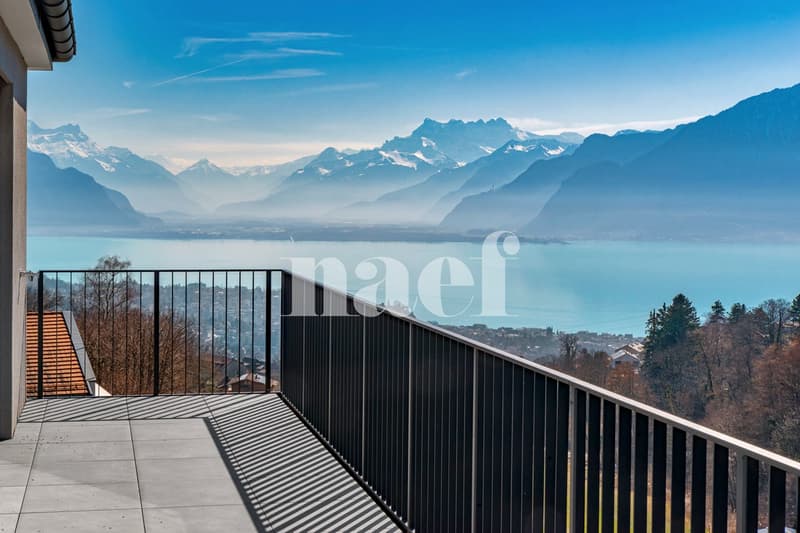 Magnifique appartement en attique de 5.5 pièces (7)
