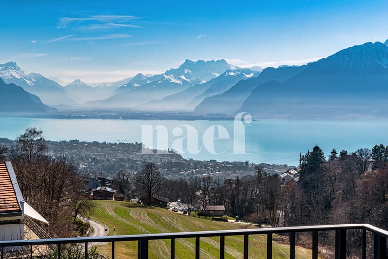 Magnifique appartement en attique de 5.5 pièces (5)