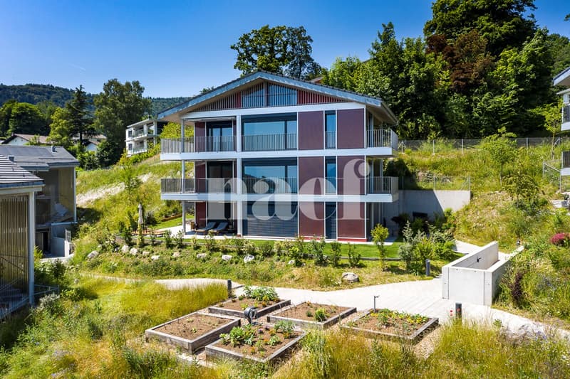 Appartement neuf de 4.5 pièces en attique avec mezzanine et vue spectaculaire sur le lac à vendre à Jongny - Lot D2 (2)