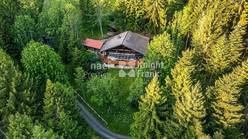 Chalet d'exception de 6 pièces à vendre entre Troistorrents et Morgins / VS (3)