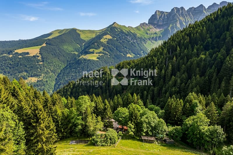 Chalet d'exception de 6 pièces à vendre entre Troistorrents et Morgins / VS (2)
