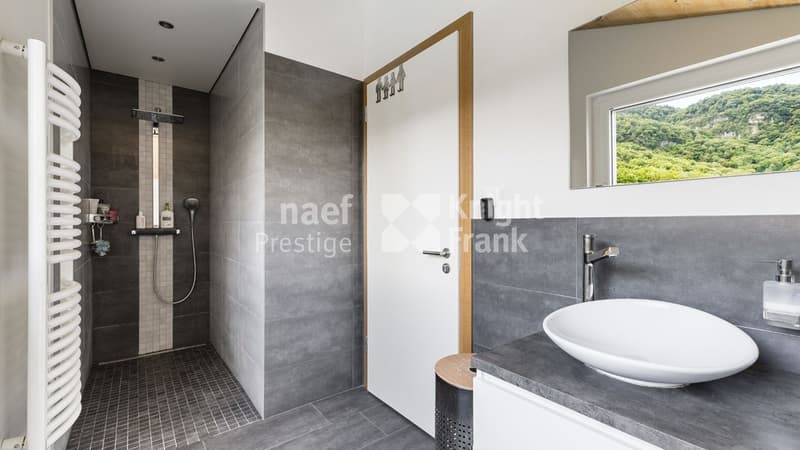 Maison d'architecte de 7.5 pièces avec piscine et jacuzzi dans un cadre verdoyant à vendre à Collombey-Muraz (13)