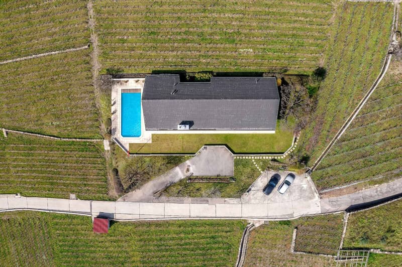 Belle parcelle au milieu du vignoble