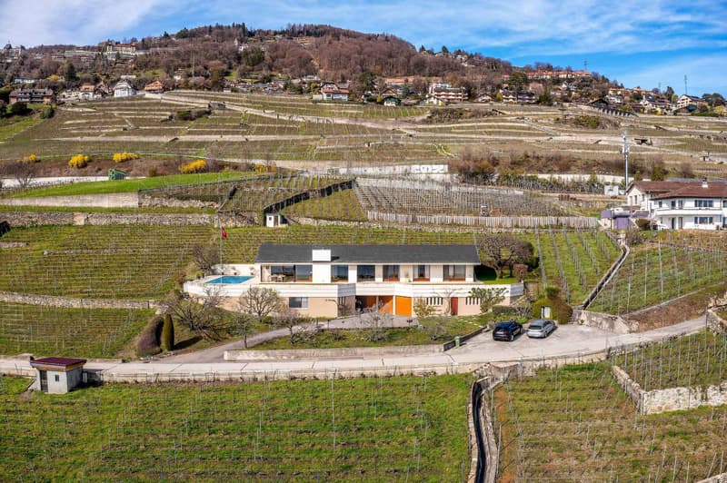 Propriété dans les vignes avec une vue époustouflante sur le lac à vendre à Corseaux (6)