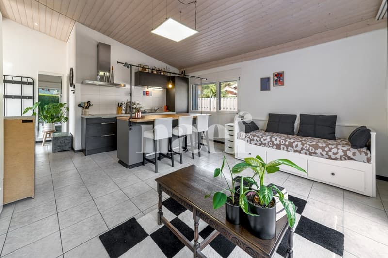 Très belle maison individuelle de 6.5 pièces avec studio indépendant et piscine extérieure à vendre à Bex (12)