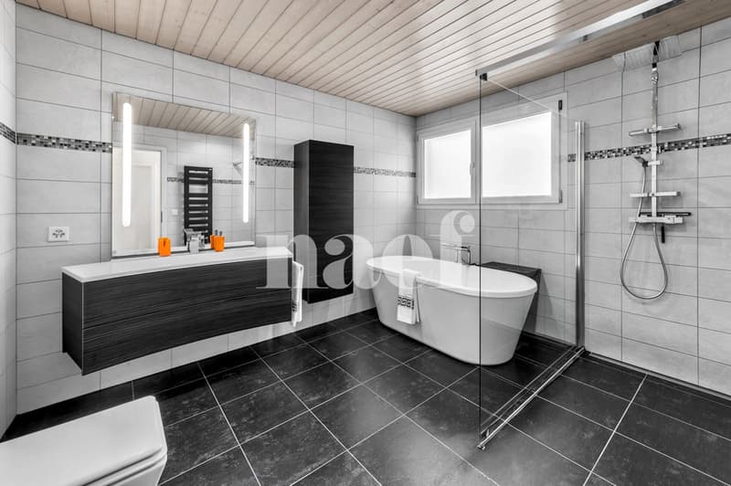 Très belle maison individuelle de 6.5 pièces avec studio indépendant et piscine extérieure à vendre à Bex (11)