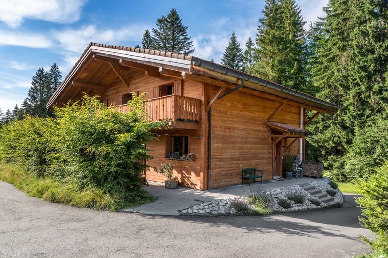 Magnifique chalet de 7.5 pièces (3)