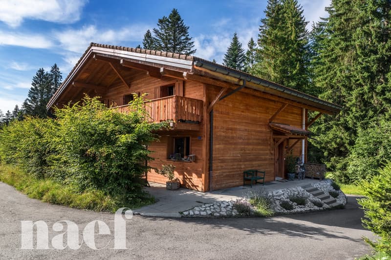 Magnifique chalet de 7.5 pièces (1)