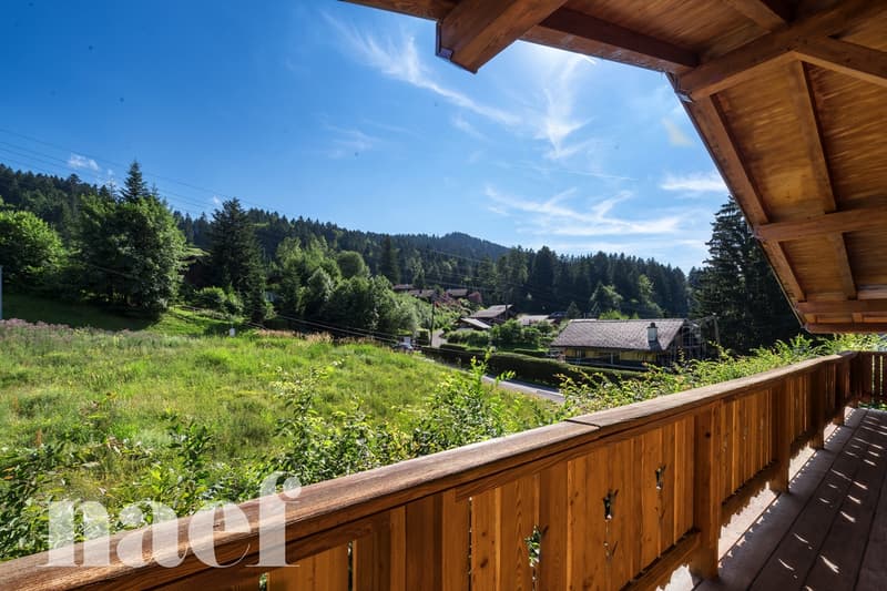 Magnifique chalet de 7.5 pièces (6)