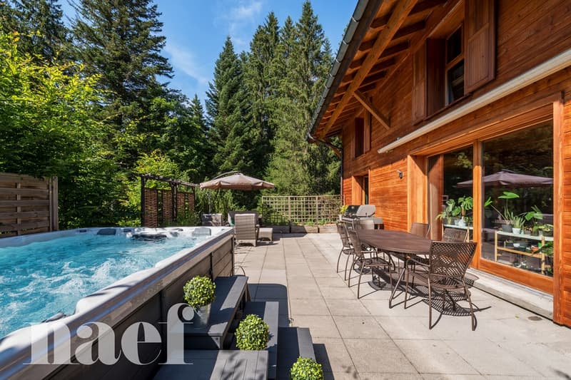 Magnifique chalet de 7.5 pièces (2)